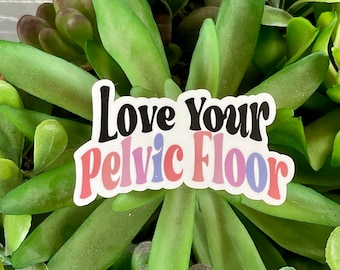 Love Your Pelvic Floor Vinyl Sticker, Water Resistant Water Bottle Sticker for Her, Pelvic Health Physical Therapy Gift for PT, Laptop Decal
