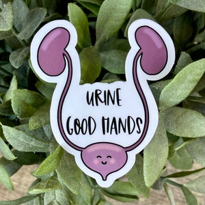 Urine Good Hands Vinyl Sticker, Water Resistant Water Bottle Sticker, Pelvic Health Gift for PT, Funny Anatomy Gift, Urology Laptop Decal