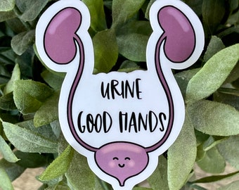 Urine Good Hands Vinyl Sticker, Water Resistant Water Bottle Sticker, Pelvic Health Gift for PT, Funny Anatomy Gift, Urology Laptop Decal