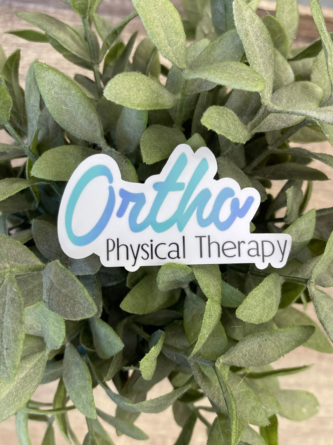 Ortho PT Sticker, Water Bottle Sticker, Thank You Gift for Physical ...