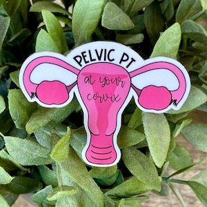 At Your Cervix Vinyl Sticker, Water Resistant Water Bottle Sticker, Physical Therapy Gift for Pelvic PT, Funny Pelvic Floor Gift for PT