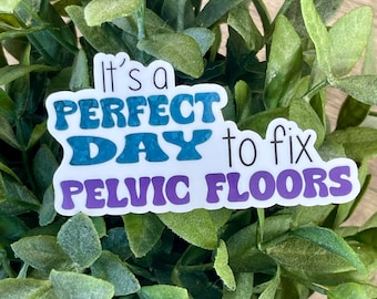 Its a Perfect Day to Fix Pelvic Floors Water Resistant Water Bottle Sticker and Laptop Decal, Pelvic Gift for Pelvic PT OT