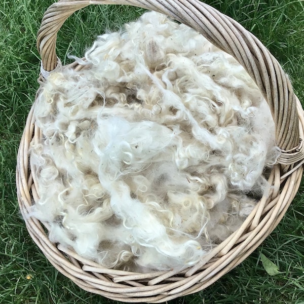 Raw mohair, angora goat wool, fleece, 100% ecological, black /Raw mohair, angora goat wool, fleece, ecological, wheat or grey