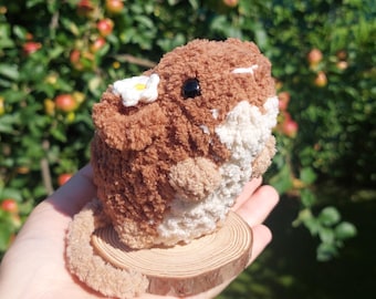Fluffy Mouse Crochet Plushie, Mini Wood/Field Mouse Amigurumi Plush, Crochet Animal, Desk Buddy, Cute Gift Idea, Cute Mouse Plush Toy