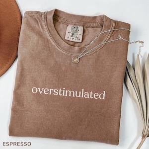 Comfort Colors® Overstimulated Shirt, Cowboy Frog Tshirt, Weird Gen Z Tee, Unhinged Funny Shirt ,Ironic T-Shirt, Gift for Her, Mom Gift