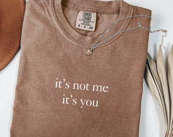 Comfort Colors® It's Not Me It's You Shirt, Anti Valentines Shirt, Single Shirt, Trendy Aesthetic Shirt, Sarcastic Shirt for Women