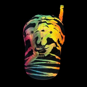 May include: A black baseball cap with a rainbow tie-dye pattern and the Nike logo in black.