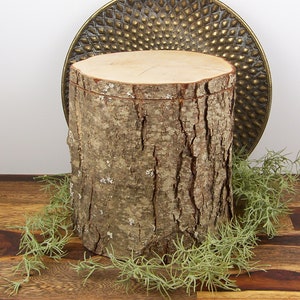 Alder Wooden Urn Human Ashes Urn Tree Trunk Urn Cremation Urn Biodegradable Memorial Urn Ash Box Urn Handmade Wood Urn Bark Urn Unique Urn