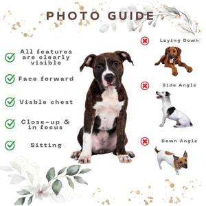 Custom DIGITAL Pet Portrait -