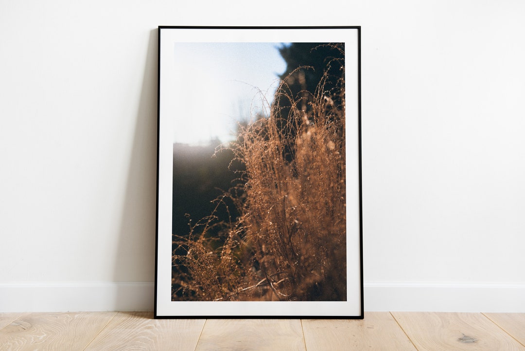 Poster: Grasses Vertical - Etsy