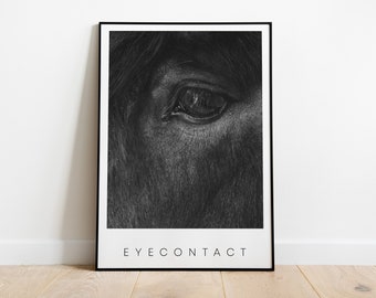 EYECONTACT | Poster | Kunstdruck | DIN A4 u. viele weitere | Fotoposter | Pferd | Tierliebe | Foto mit Rahmen | Geschenkidee