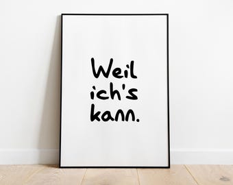 Afiche: Porque puedo, sw