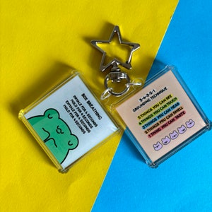 May include: Two clear acrylic keychains with a silver metal ring. One keychain features a green cartoon frog with the text "BOX BREATHING" and instructions for box breathing. The other keychain features the text "5-4-3-2-1 GROUNDING TECHNIQUE" and a list of grounding techniques.