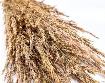 Natural Dried Grass Bundle – Rustic Floral Arrangement Decor