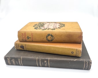 Set of 3 Gold/Brown Vintage Antique Books | Decorative Literature Collection