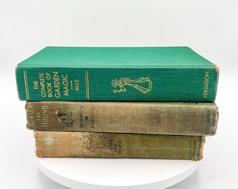 Set of 3 Green Vintage Antique Books | Decorative Literature Collection