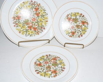 Vintage Corning Corelle Indian Summer dinerbord van 26 cm + 2 saladeborden, 3-delige set