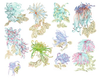 Chrysanthemum Machine Embroidery Design Collection, 10 Digital Embroidery Patterns, Instant Download, Embroidery File Bundle, Multi Format