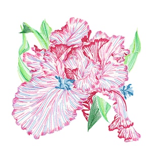 Puede incluir: Ilustración detallada de un arreglo floral. Las flores son principalmente rosas y blancas con detalles azules, con un intrincado trabajo de líneas. Hojas verdes rodean las flores, todo sobre un fondo blanco.