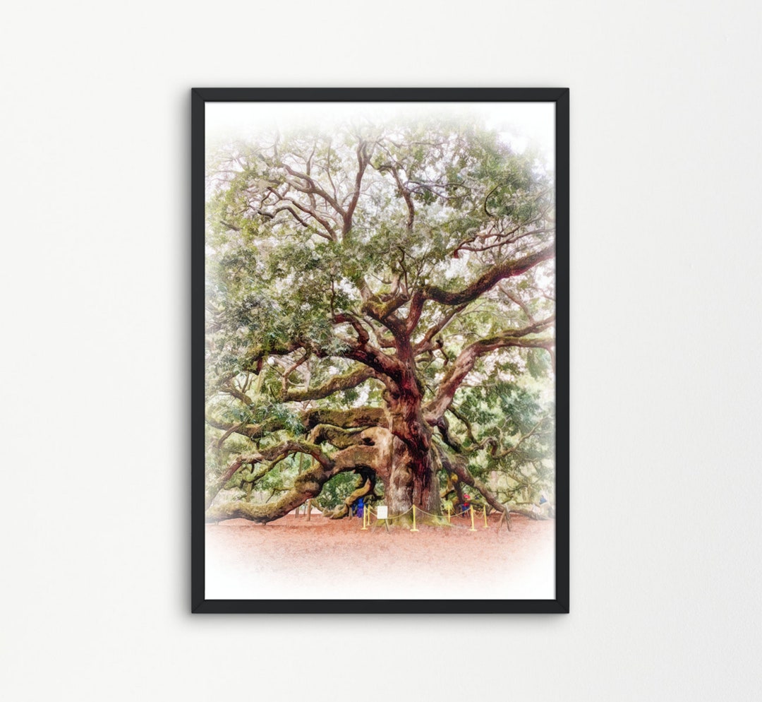 Angel Oak Tree Painting Angel Oak Tree Charleston Digital Etsy