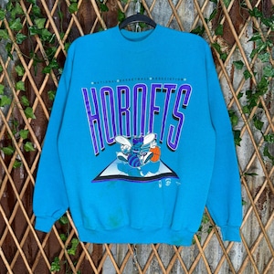 Vintage Y2K sportswear Charlotte Hornets 1990 nba sweatshirt
