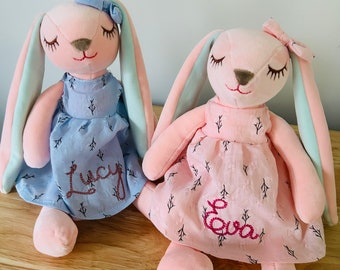 May include: Two plush bunny dolls, one in a blue dress with "Lucy" embroidered, the other in a pink dress with "Eva" embroidered. Both bunnies have pink bodies, long ears with blue and pink accents, and closed eyes. A bow adorns each bunny.