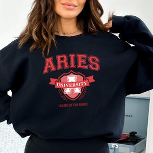 Zodiac University Crewneck Sweater Astrology Sweatshirt, Custom Horoscope Crewneck, Star Sign Sweater, Celestial Gift, Personalized Astrolog
