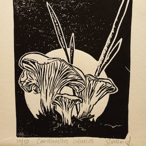 Handmade Chanterelle Art Print, signed and editioned 6" x 9"