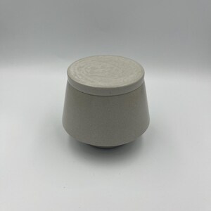 Concrete Flower Pot , Plant Pot, Natural , Colorful, Indoor, Home decor, Special Edition,