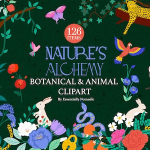 Ensemble de cliparts forêt mystique - illustrations de fleurs sauvages, animaux, oiseaux et papillons pour le scrapbooking, fichiers vectoriels PNG lunatiques dessinés à la main