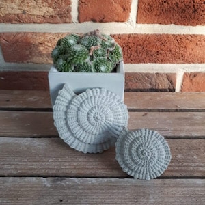 Silicone casting mold - Ammonite in 2 sizes