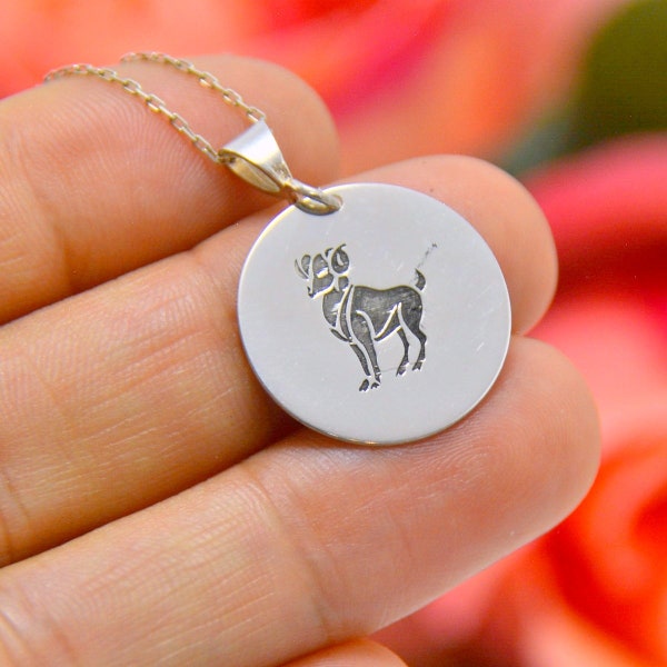 Aries Silver Necklace, April Born Jewelry, Astrology Sign Zodiac Plate, Birth Chart Horoscope Jewelry, Birthday Custom Gift, Ram Medallion