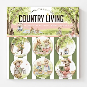 Country Living Magnets, Country Magnet Set, Cottage Magnets, Magnet Gift, Country Home Magnets, Country Home Decor Magnets, Summer magnets