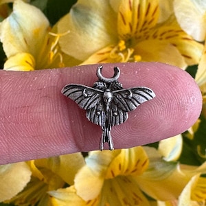 Little Moth Casting. Solderable Adornment