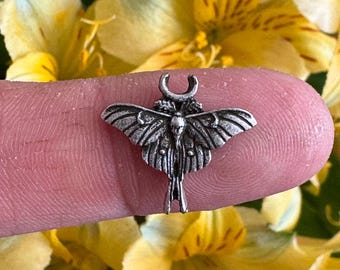 Little Moth Casting. Solderable Adornment