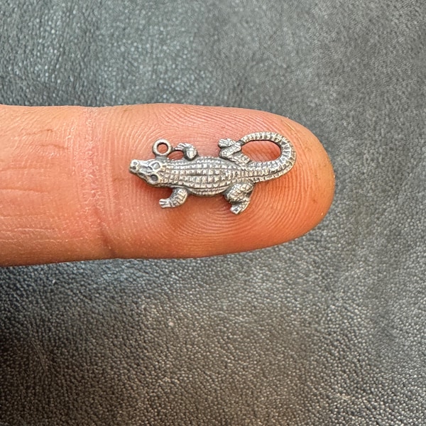 Gegoten krokodillenbedel. Sterlingzilver