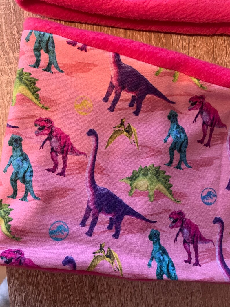 Mädchen Dinosaurier Mütze mit Loop Bild 4
