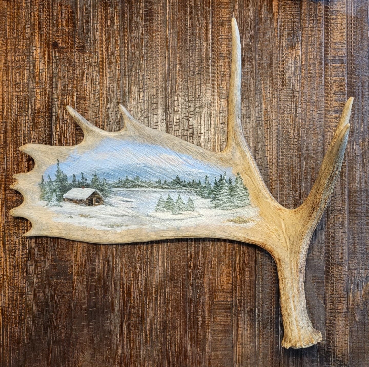 Natural moose antler magazine rack - Rustic Log Originals