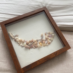 May include: A framed seashell art piece. The artwork features a collection of various seashells arranged in a curved shape against a white background. The frame is made of dark brown wood, adding a natural touch to the coastal-themed decor.