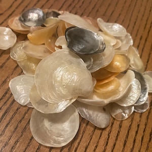 May include: A pile of iridescent white, cream, and gray seashells. The shells are smooth and have a pearly sheen.