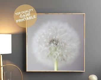 Dandelion Photography Print | Soft White Flower Wall Art (Digital Download)