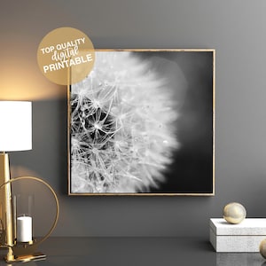 Dandelion Printable Wall Art | Bathroom Art | Living Room Wall Art | Dandelion Photography | Dandelion Digital Download | JPG