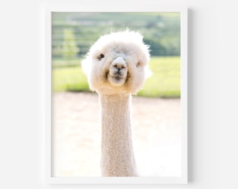 Smiling Alpaca Nursery Art Print | Farmhouse Animal Photo (Digital Download)