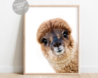 Cute Alpaca Nursery Wall Art, Funny Animal Print (Digital Download)