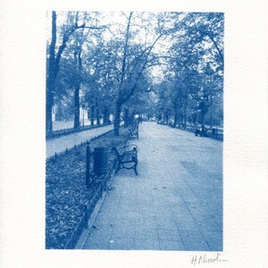 Puede incluir: Una fotografía en tonos azules de un camino bordeado de árboles con bancos a los lados. El camino está pavimentado y conduce a un claro en la distancia. Los árboles están desnudos y el suelo está cubierto de hojas caídas.