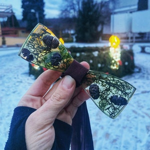 Può includere: Un papillon in resina trasparente con un nastro marrone. Il papillon presenta un design pressato di fogliame verde e piccole pigne marroni.