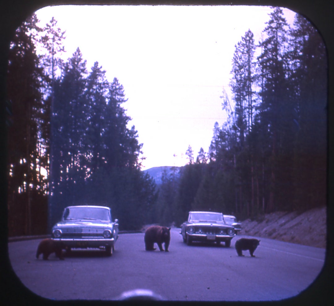 Three Viewmaster Personal Reels Yellowstone Park Etsy