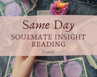 Puede incluir: Un conjunto de cartas de tarot con un diseño morado y verde, con el texto "Same Day Soulmate Insight Reading" y "8 cartas". Las cartas están dispuestas con una flor y otros elementos decorativos.