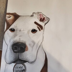 Custom Pet Portrait