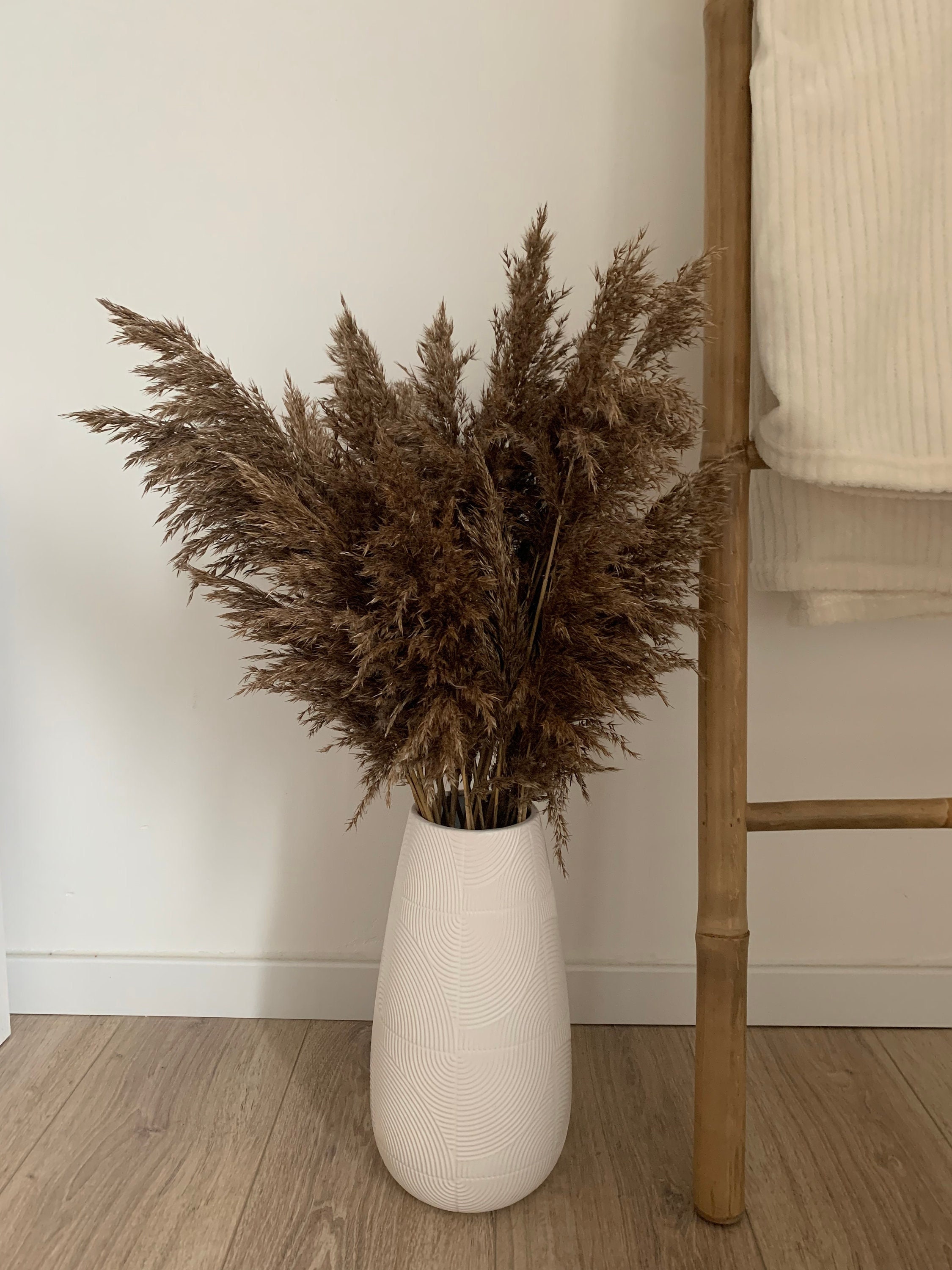 Lot de 10 Pampas Naturels